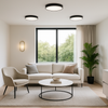 5 pcs Bundle Black LED Round Flushmount Wall Light